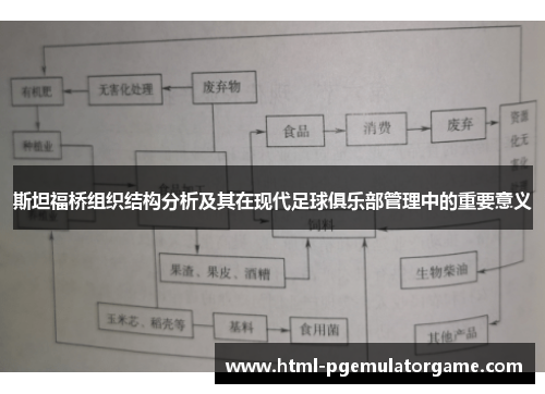 斯坦福桥组织结构分析及其在现代足球俱乐部管理中的重要意义 斯坦福桥组织结构分析及其在现代足球俱乐部管理中的重要意义